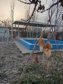 Дача в Пскенте 6 соток