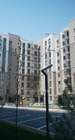 Сдается комфортная квартира 650 у.е.