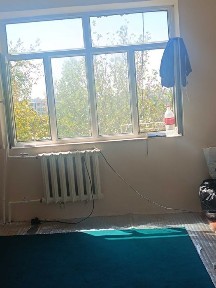 Своя узимники Тузел 1. Галирейка