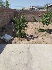 Navoiy viloyati Zarafshon shahrida dacha sotiladi