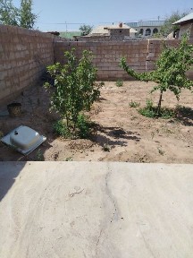 Navoiy viloyati Zarafshon shahrida dacha sotiladi