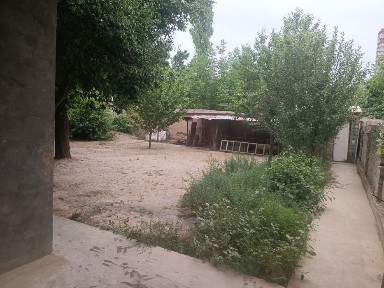 Продается дом (Xovli sotiladi)