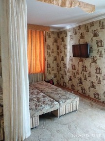 Своя Айти парк (Академ городок) 1 комнатная