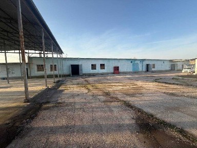 Ташкентская область, Ташморе