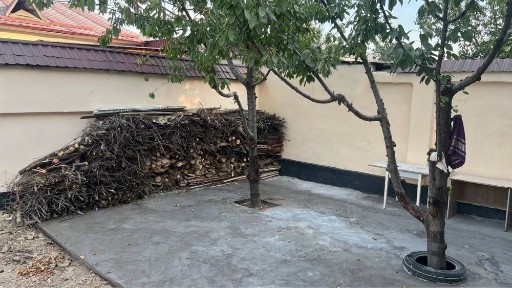 Arenda katej solnichniy