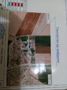 Термез туманида уй сотилади