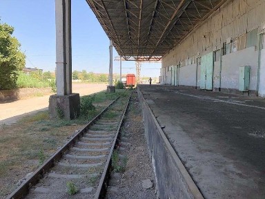 Ташкентская область, Янгиюль