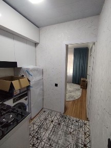 Naqqoshlik 1/1/4 arenda