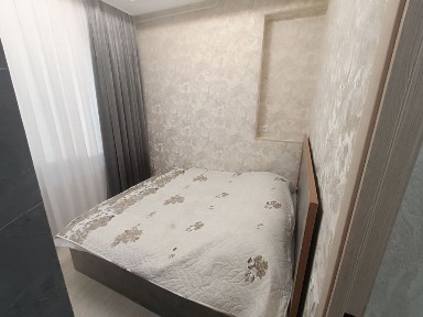 Аренда Квартира 1 хона Кора камиш 1/4