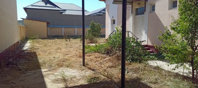 To'qmang'itda Kotej sotiladi