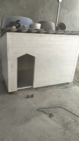 Продается дом для сабаку