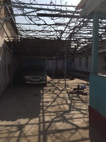 Ташкентская область, Ташкент, Мирабадский район