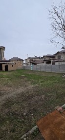 Дурмень цен. 3сот. ер.