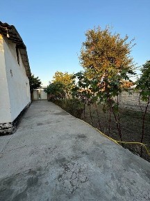 Чингелди конечкада (опа-сингил балик) хавли арендага берилади