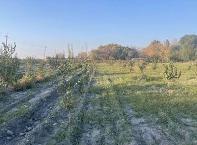 Қуруқ санатория сотилади