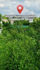 Арзон дача 6 сотихи $18000
