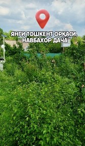 Арзон дача 6 сотихи $18000