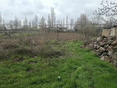Ташкентская область, Пскент