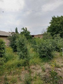 Наманганская область, Чуст