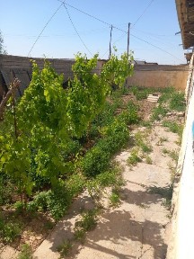 Qarshi da hovli uy sotiladi