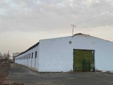 Хорезмская область, Чалыш