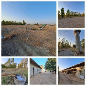 Наманганская область, Пап