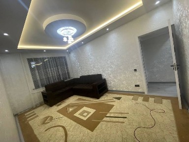 Сдаётся 3-комн ТТЗ, 54 м²