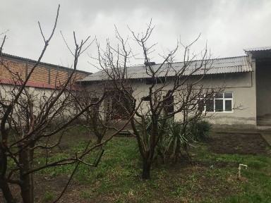 Кибрай Ховли сотилади 10.6 сотик 5 хона Срочно