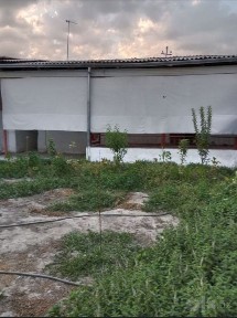 Yer narxida uchaska sotiladi 5 xonasiyam bor продаётся участка