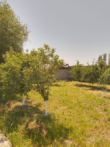 Срочно продается участок!