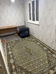 Kvartira bollarga sheriklikka