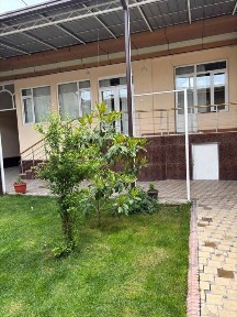 N8958 Shayxontohur tumani Kokcha mahalla 4,16 sotix