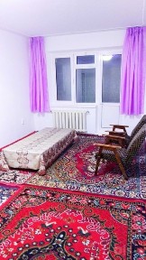 Ijaraga turishga sherik talaba qiz kerak (1 kishi)
