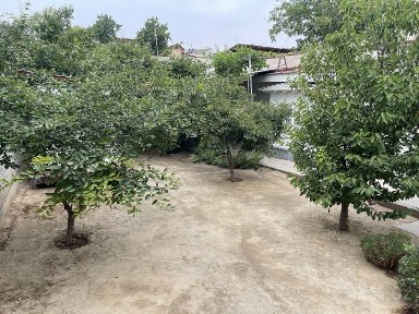 Xovli sotiladi fayizli uy 3,5 sotix