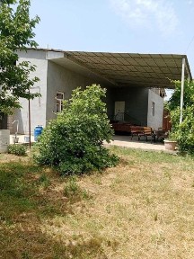 Ташкентская область, Янгиюль