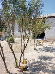 Асалому алкум уй учаска сотилади