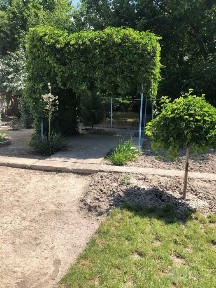 Дачний паселокда дача сотилади