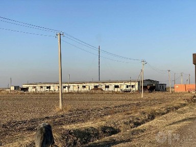 Ферса Куйчирчикский район 25 Га под пастбища 10 Га 10 домиков