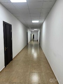 Полуподвал 1 этаж.