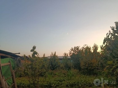 Qibray tumani uzumzor mahalla chordara ko'chasi 66 uyda yer sotilafi