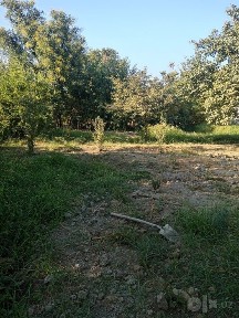 Gress dachadan Dala hovli sotiladi 8sotixlik 2xonadan iborat yashash