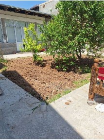 Dormon. Yengi ozbekiston. Xaydarobod. Srochna uchaska sotiladi.