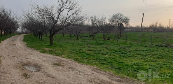 Zaruryatligi uchun sotilmoqda uy 3 xonadan 2 ta