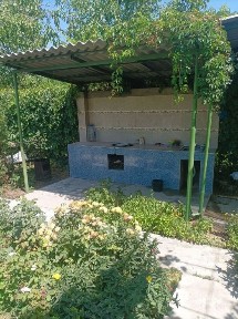 Ташкентская область, Янгибазар