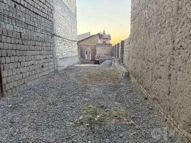 Мотрит лакатор чойхона