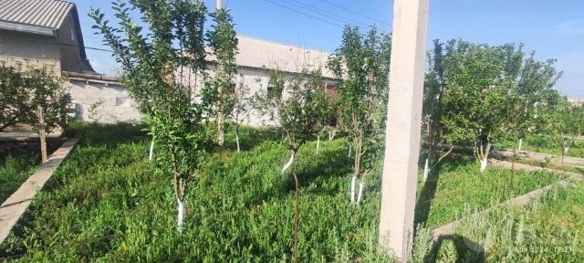 Ховли сотилади нарпай 5-булим