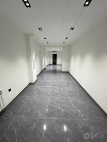 Ц-1 Эко Парк помещение 1-этаж 45 м² нежилой фонд с ремонтом 1-линия