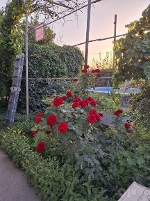 Продаётся участок 12 соток срочно без маклеров