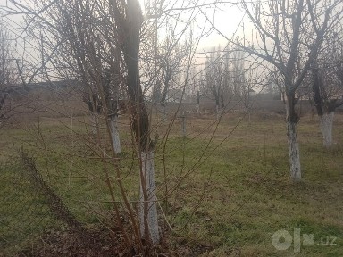 Ташкентская область, Ташморе