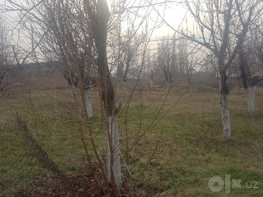 Ташкентская область, Ташморе